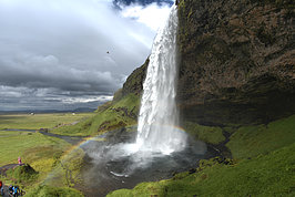DSC01532 -1_t.jpg